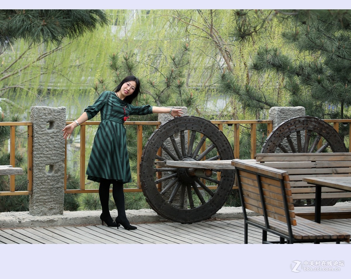 又是一年杨柳绿2