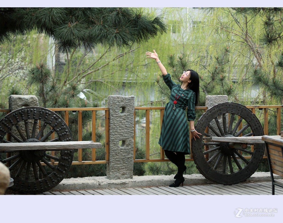 又是一年杨柳绿2