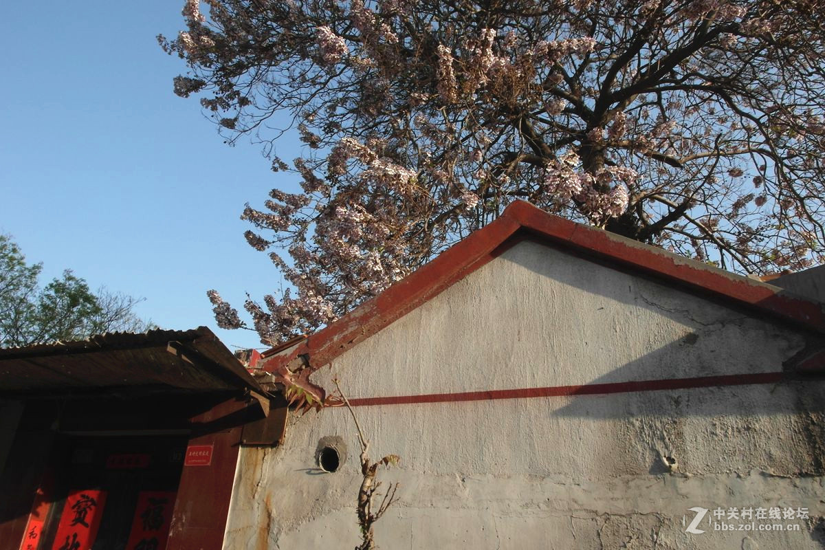 『走街串巷』123...13p