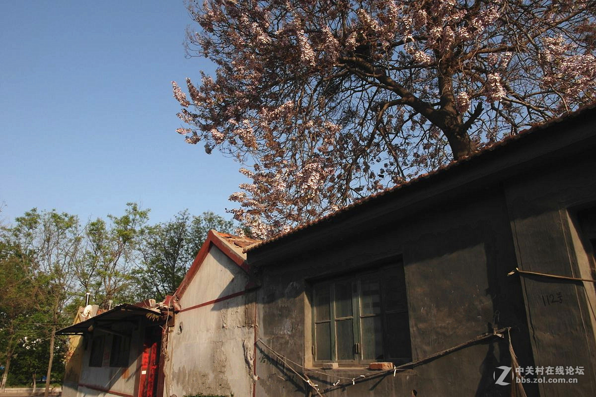 『走街串巷』123...13p