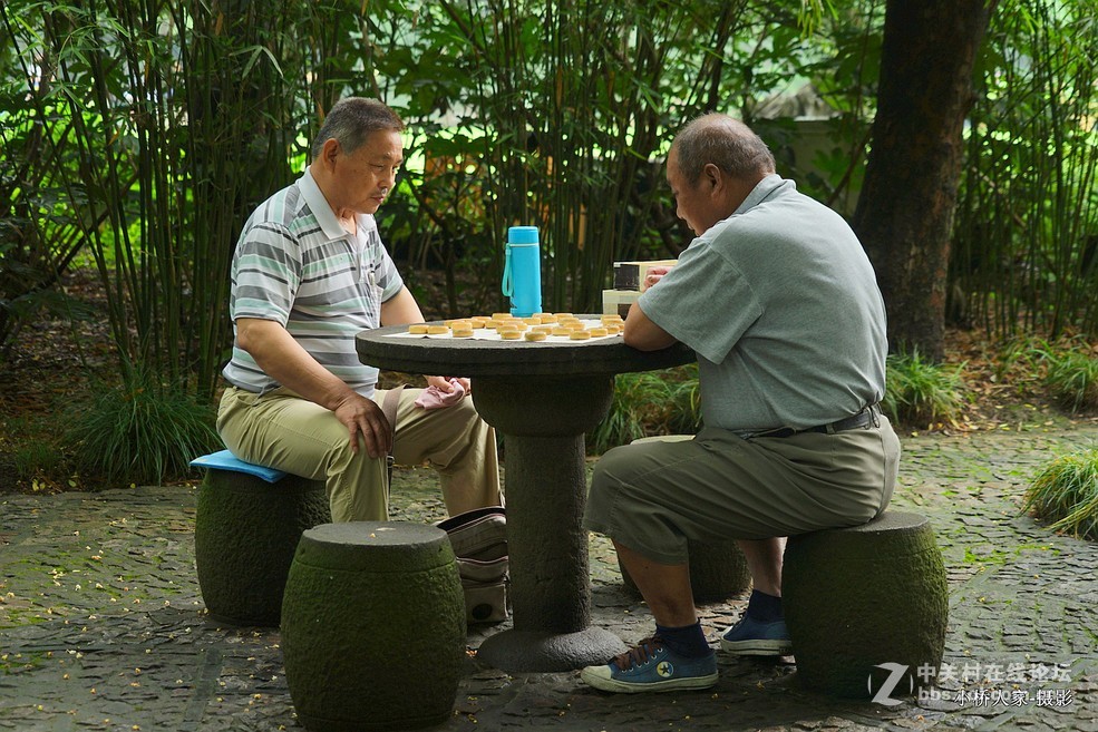 棋逢对手