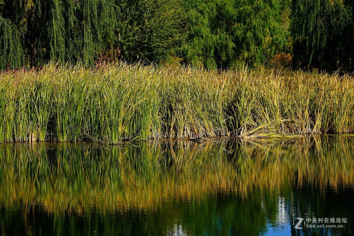 远山近水皆秋色