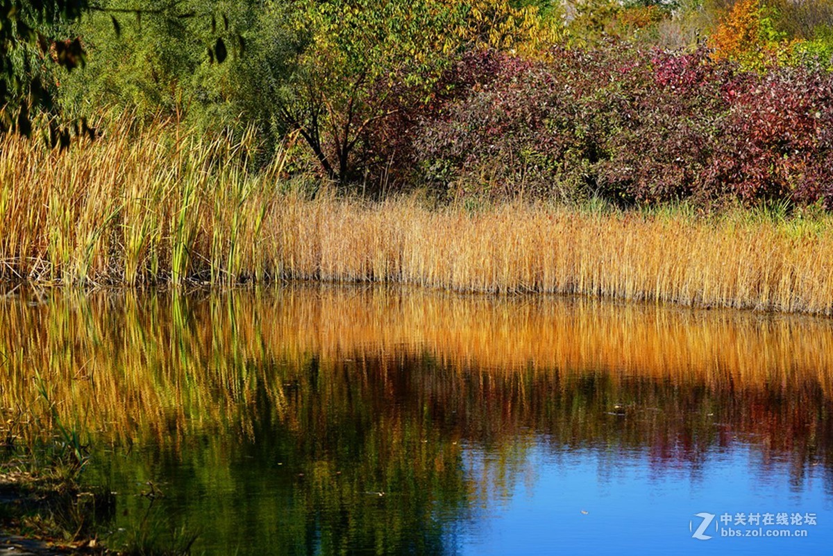 远山近水皆秋色