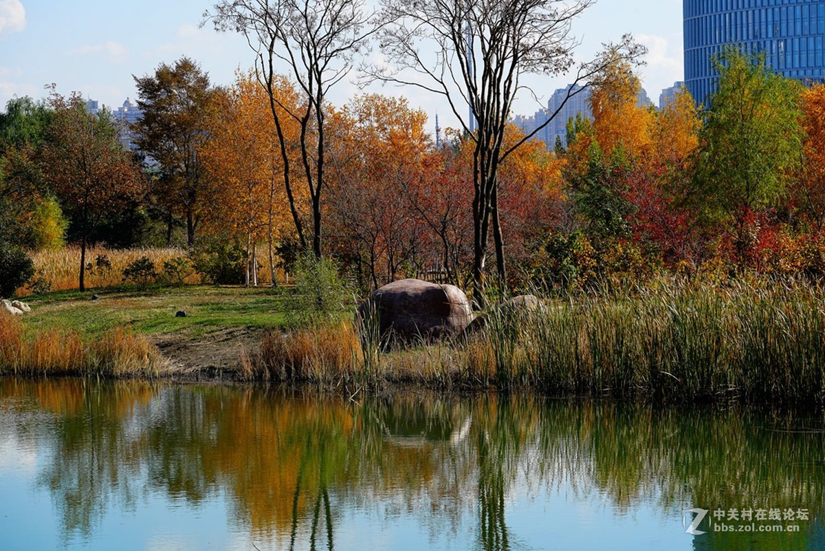 远山近水皆秋色