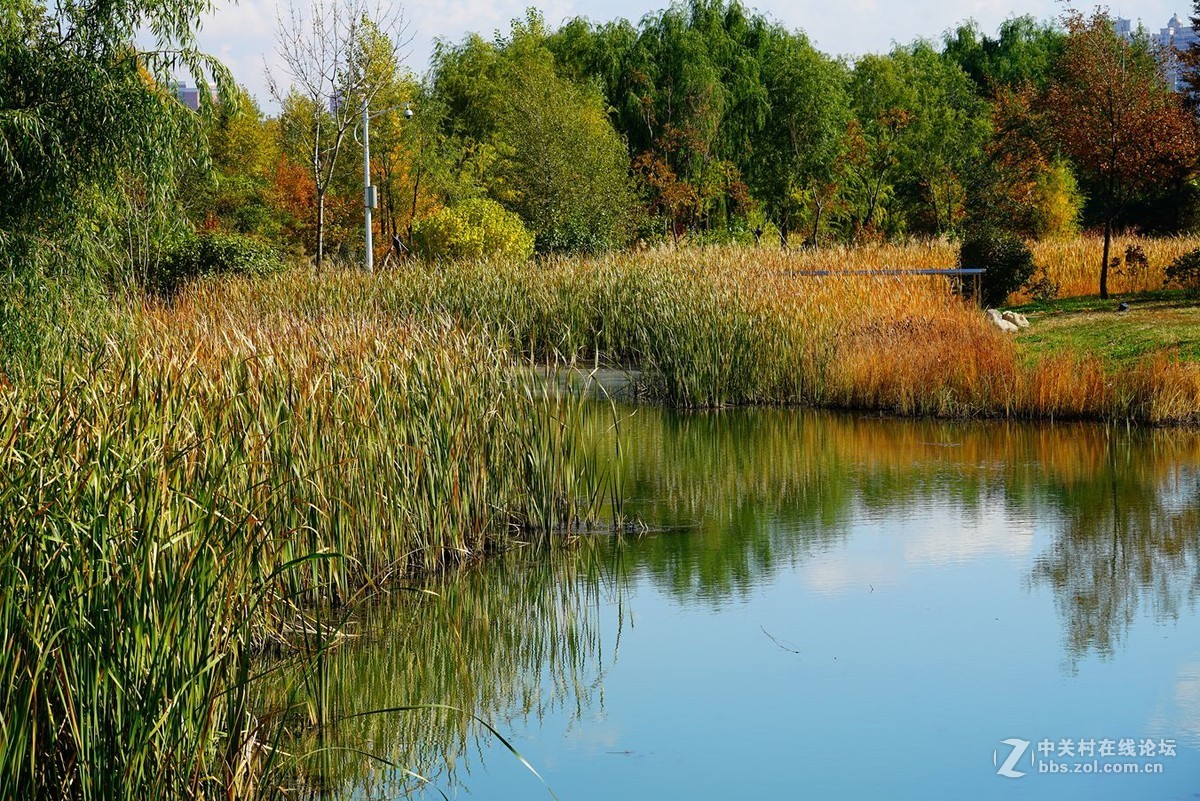 远山近水皆秋色