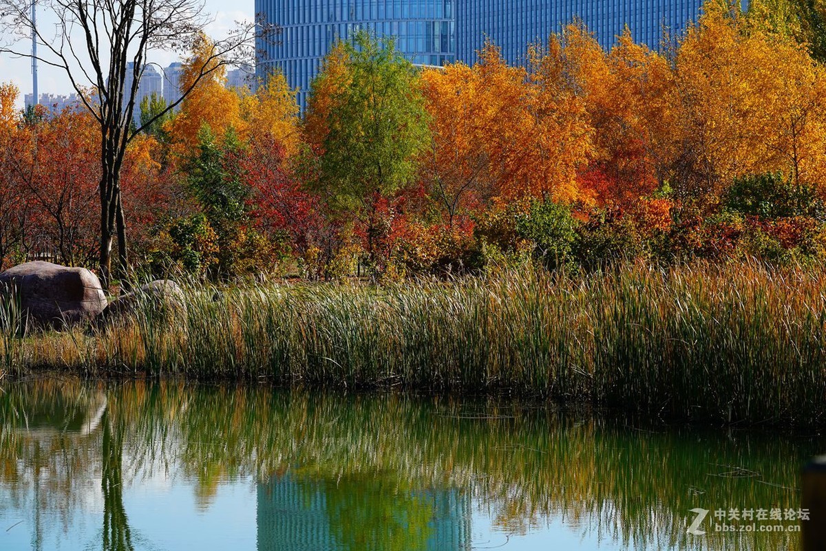 远山近水皆秋色
