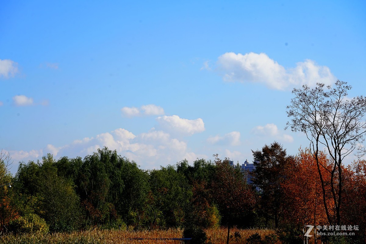 远山近水皆秋色