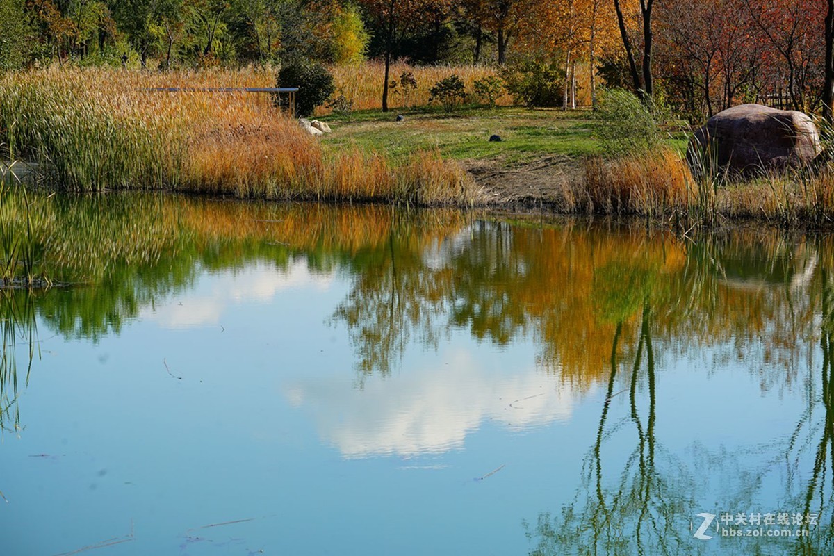 远山近水皆秋色
