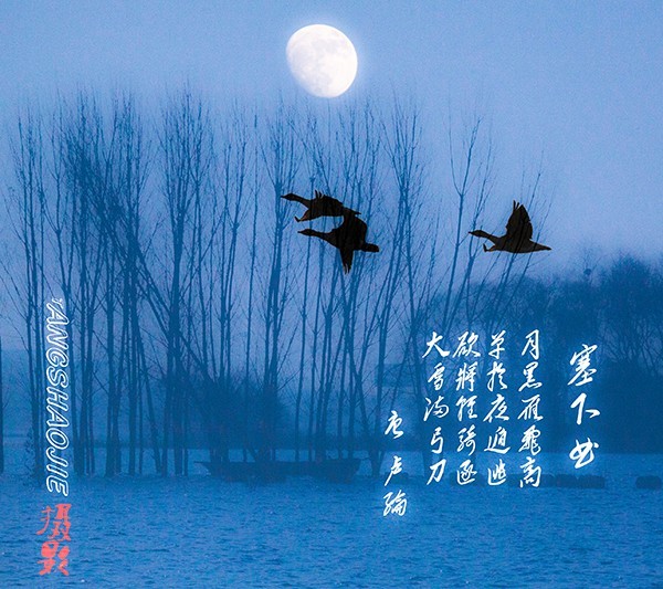 月色下飞雁