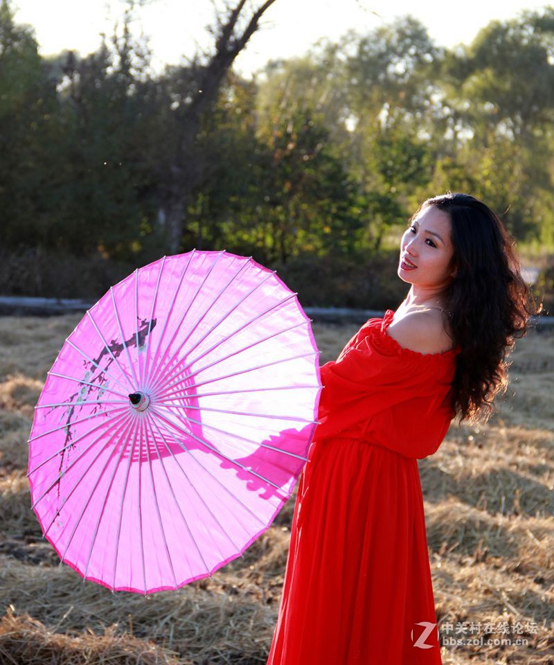 美丽秋天.温暖阳光