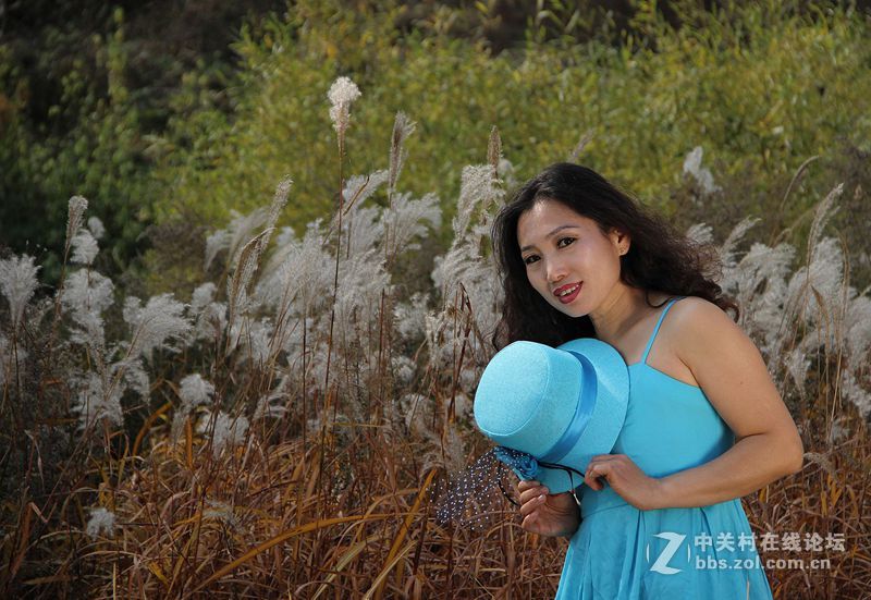 美丽秋天.温暖阳光