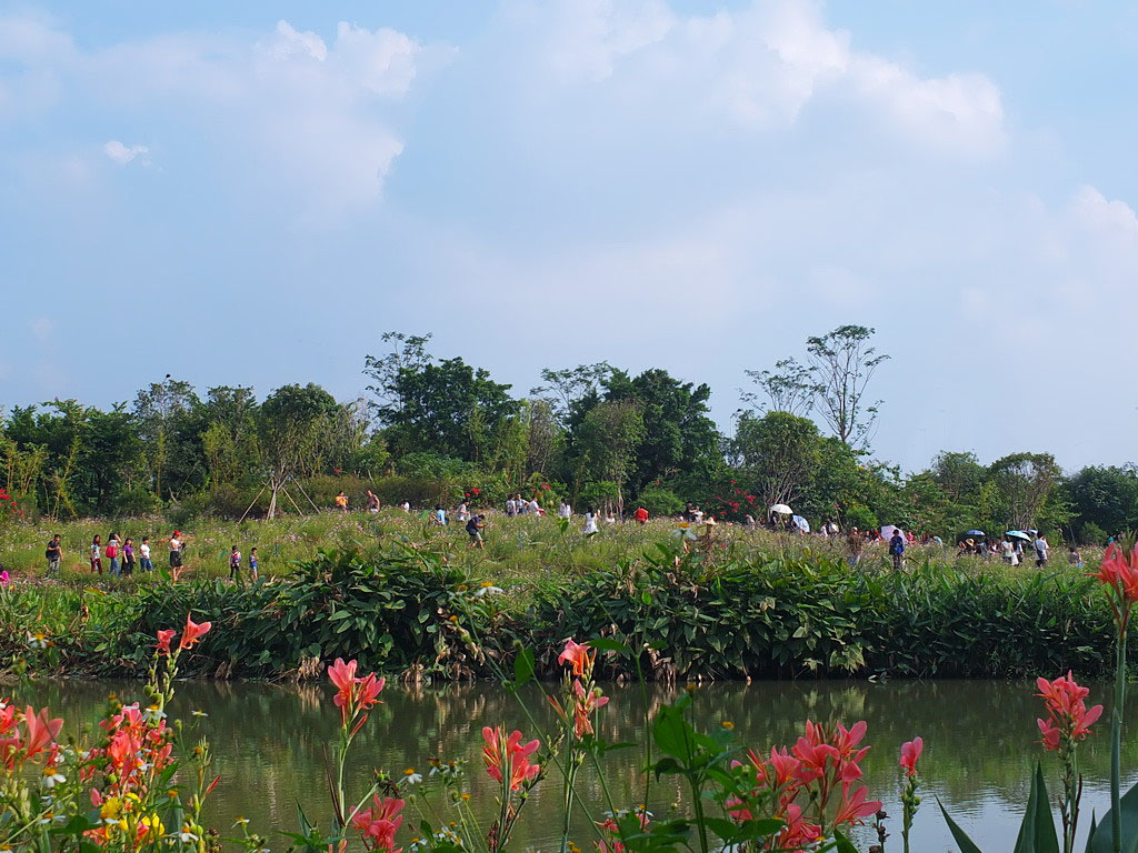 海珠溼地公園隨拍