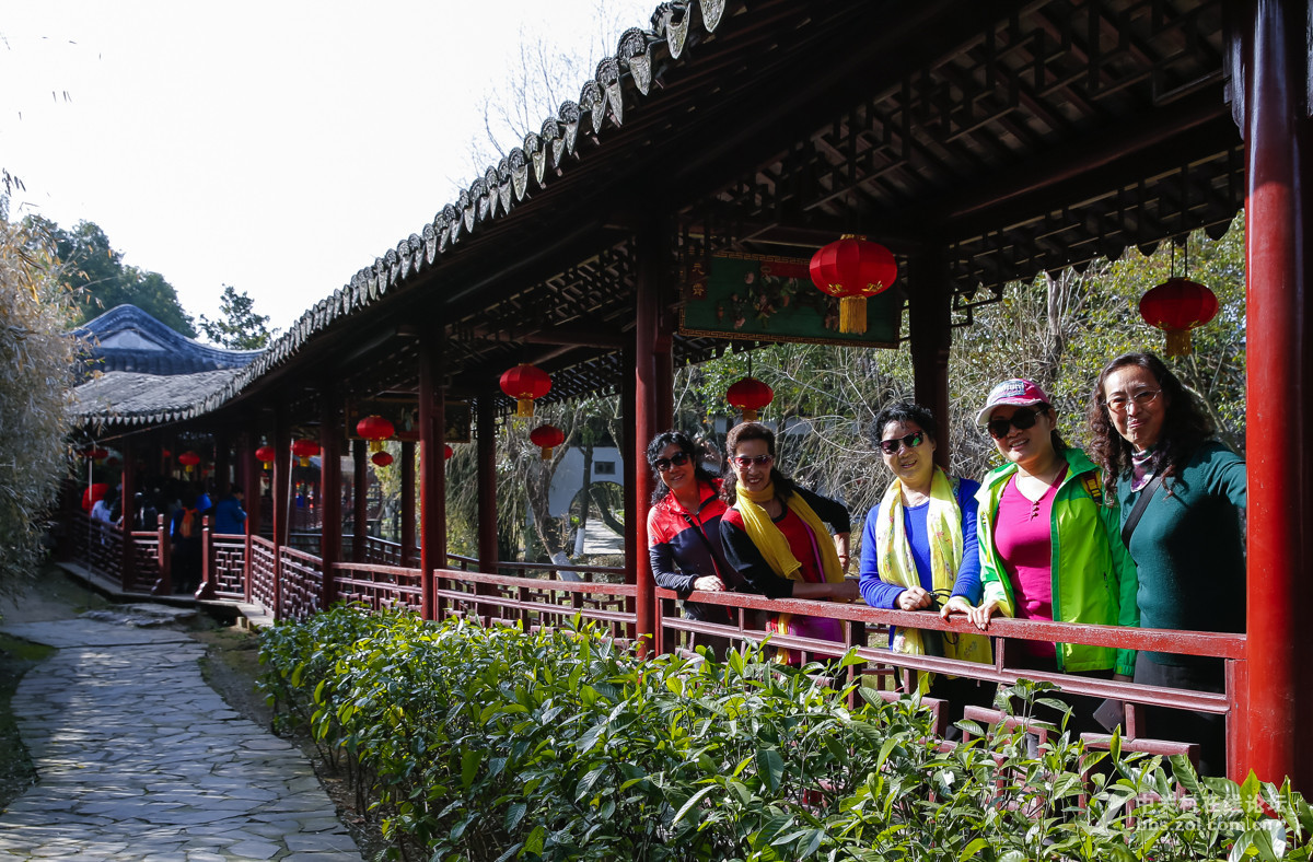 回归自然青岛快乐登山队五市游～苏州定园〔二〕