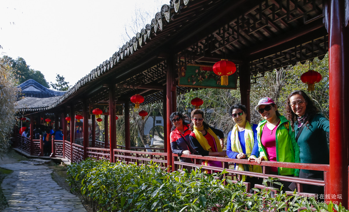 回归自然青岛快乐登山队五市游～苏州定园〔二〕