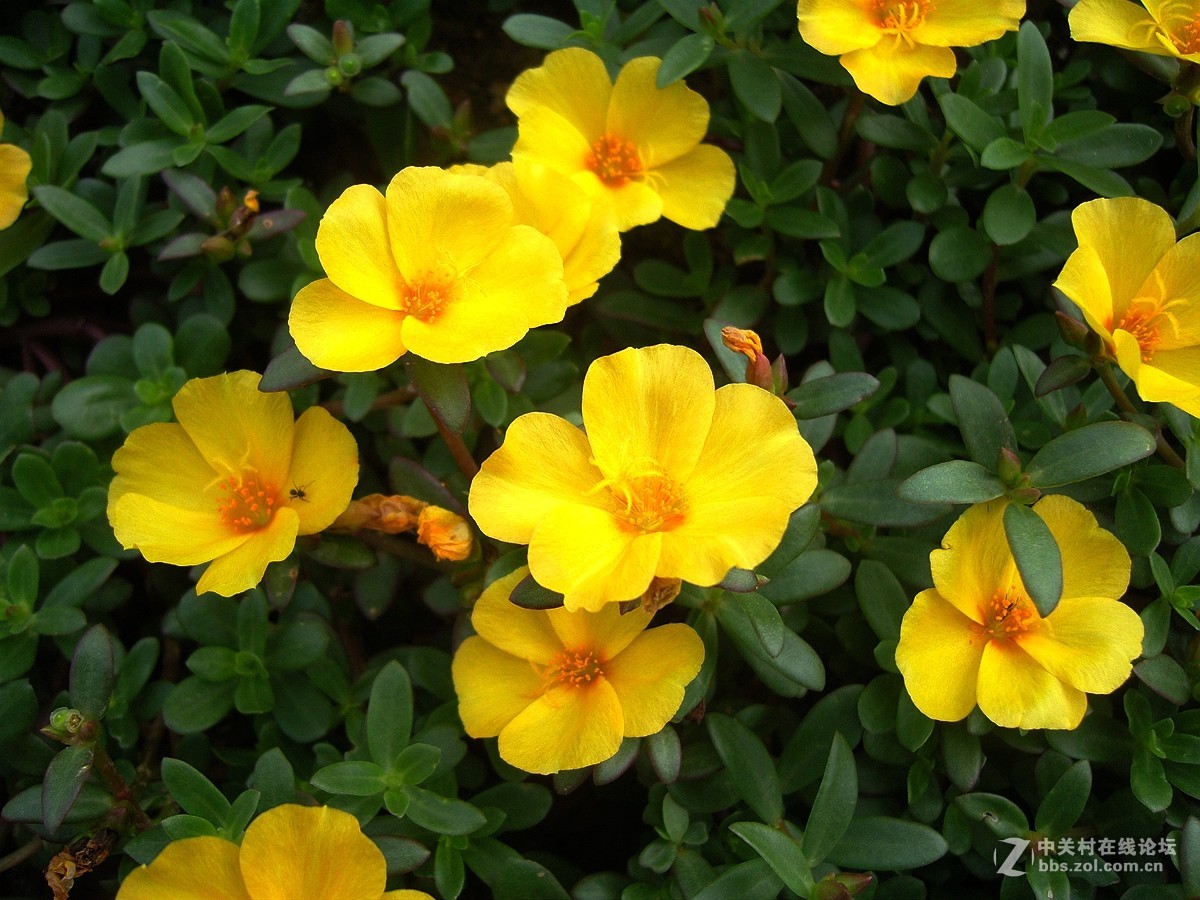 星空体育平台NV10大榭岛随拍