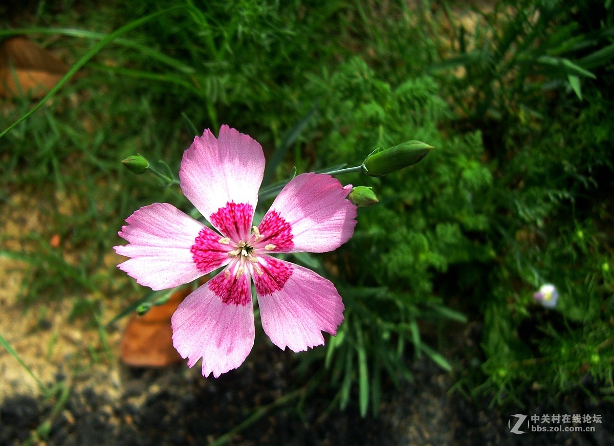 星空体育平台NV10大榭岛随拍