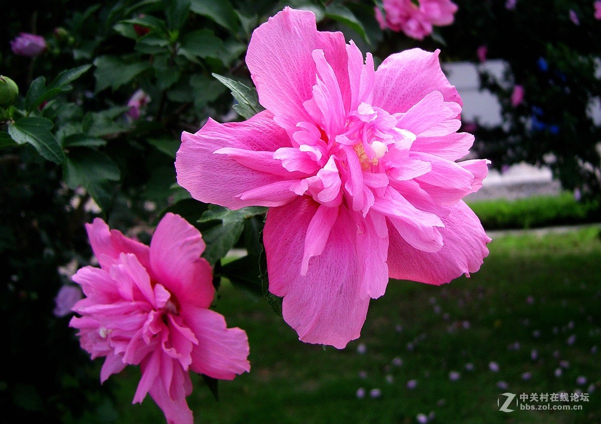 星空体育平台NV10大榭岛随拍