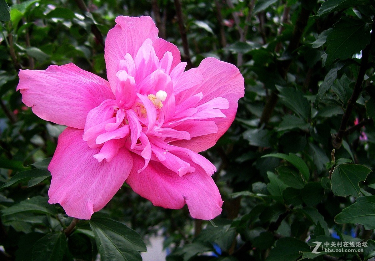 星空体育平台NV10大榭岛随拍