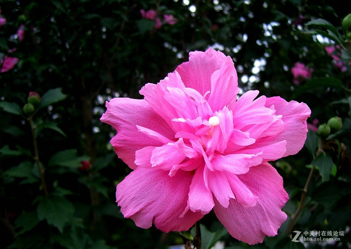 星空体育平台NV10大榭岛随拍