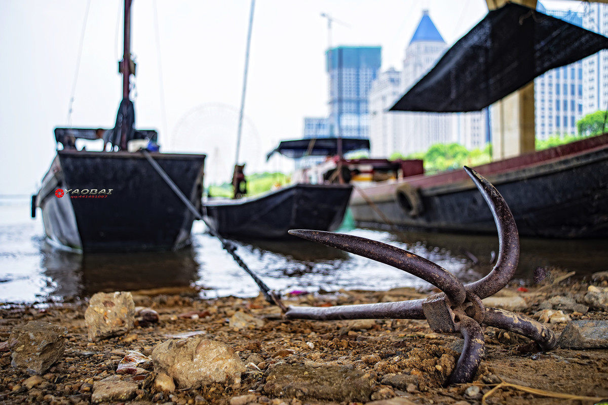 【摇摆风景】yashica ML28-50F3.5变焦头试镜