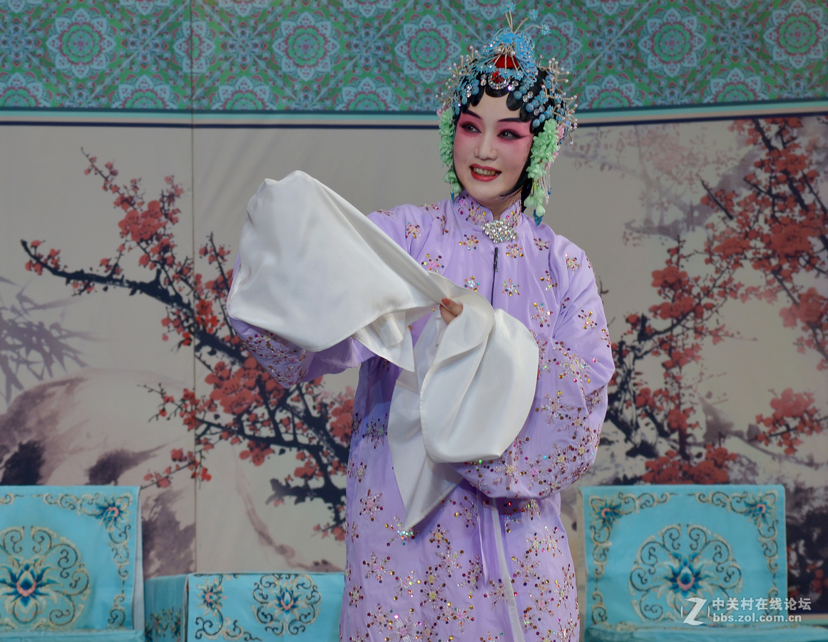 京剧春闺梦天津青年京剧团刘桂娟姬鹏