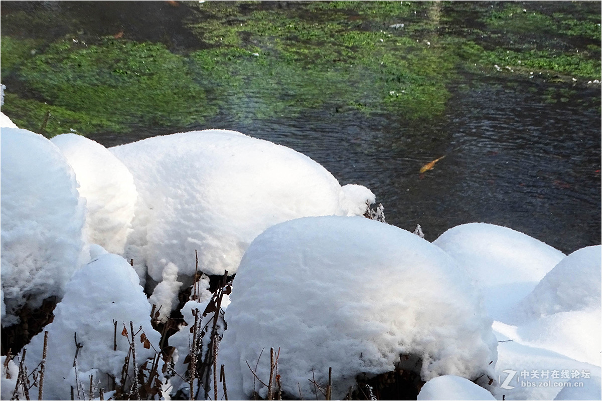 【暴雪后的乌鲁木齐“水磨沟”】