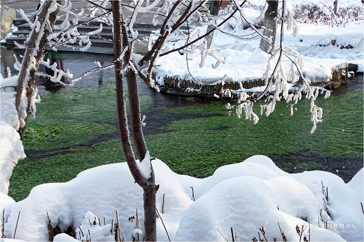 【暴雪后的乌鲁木齐“水磨沟”】