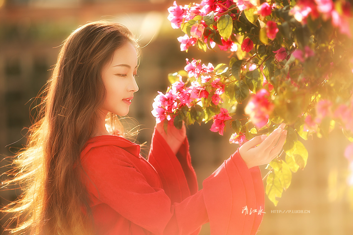 我有一个梦想，和阳光一样灿烂芳香而自由