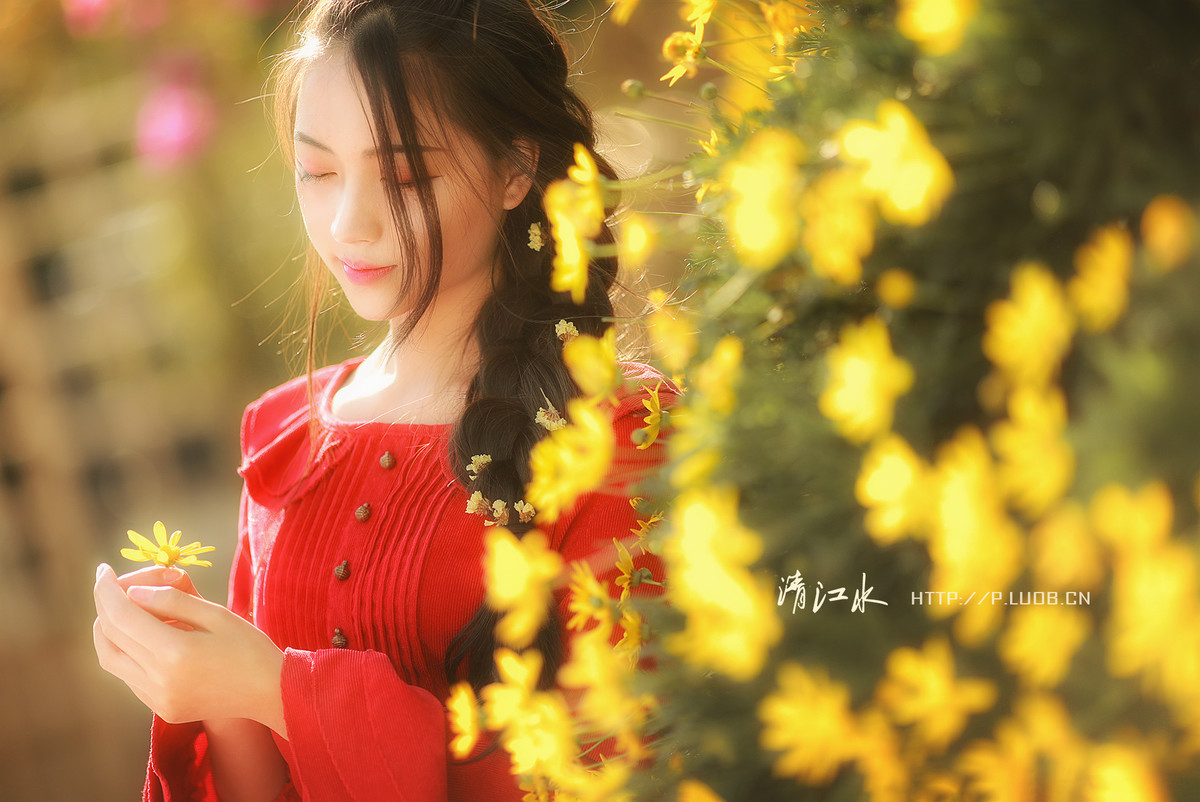 我有一个梦想，和阳光一样灿烂芳香而自由