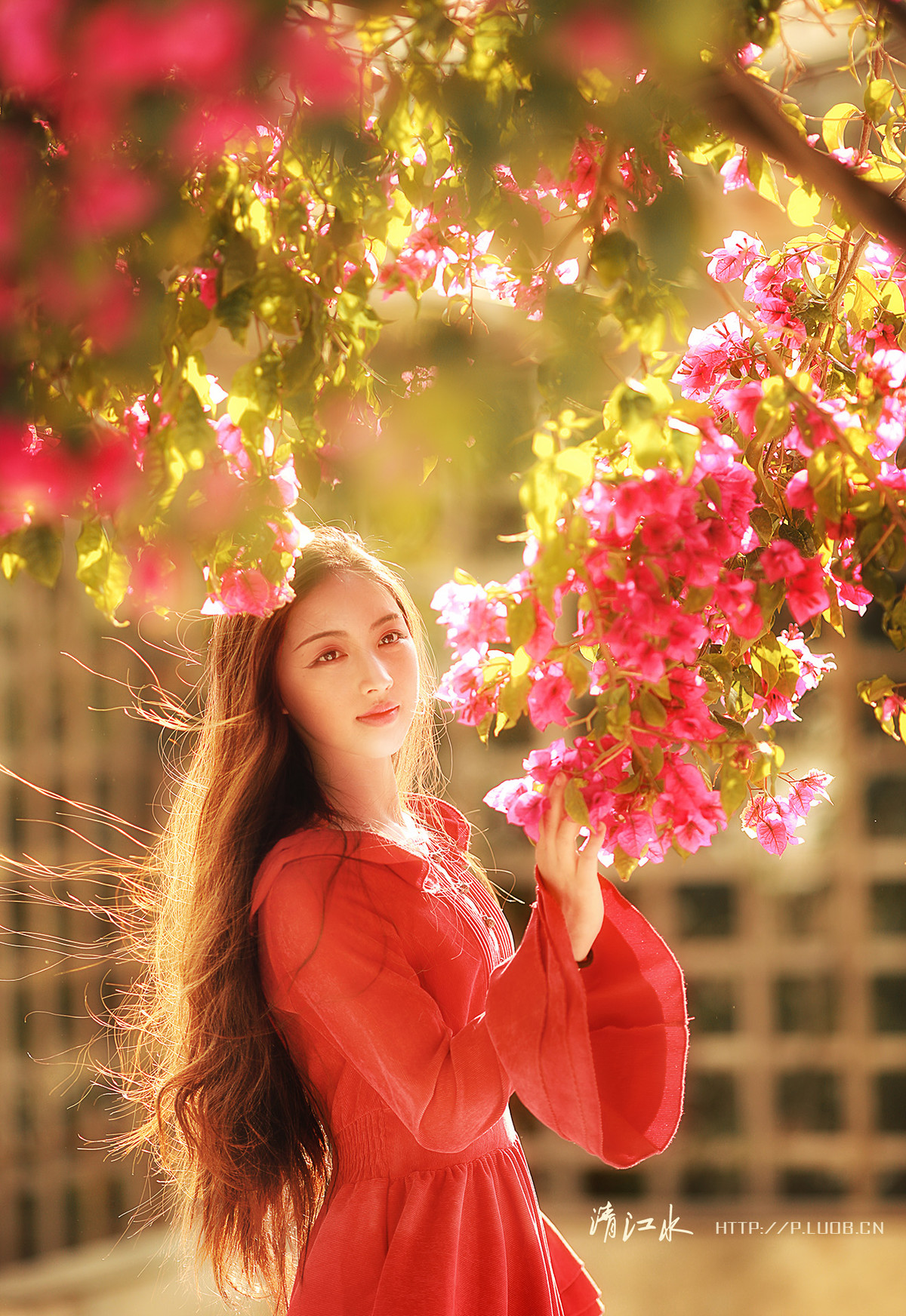 我有一个梦想，和阳光一样灿烂芳香而自由