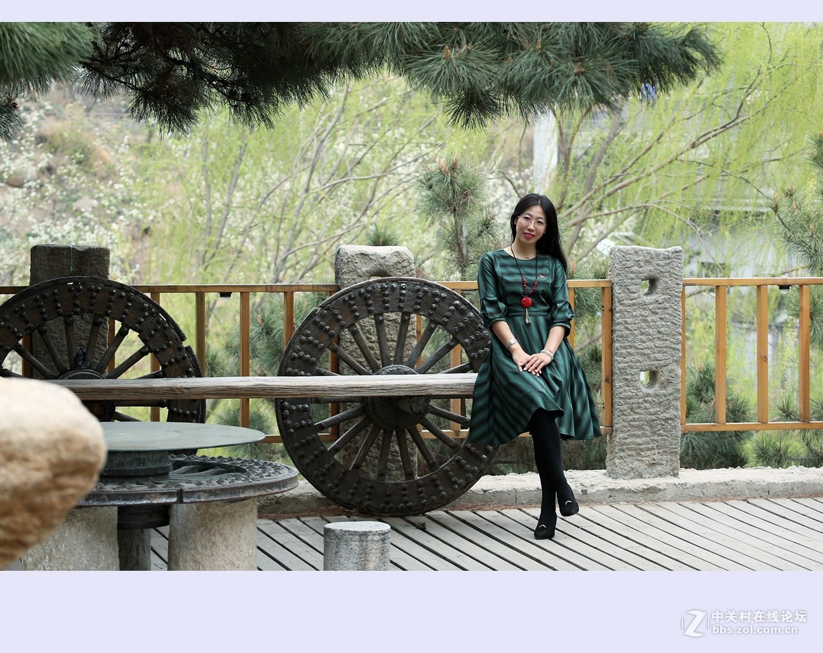 又是一年杨柳绿2