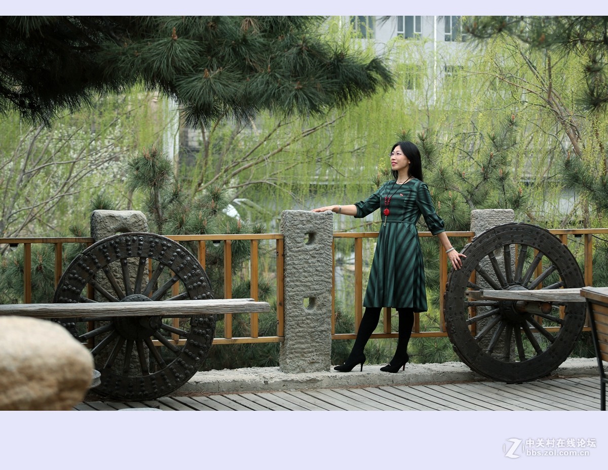 又是一年杨柳绿2