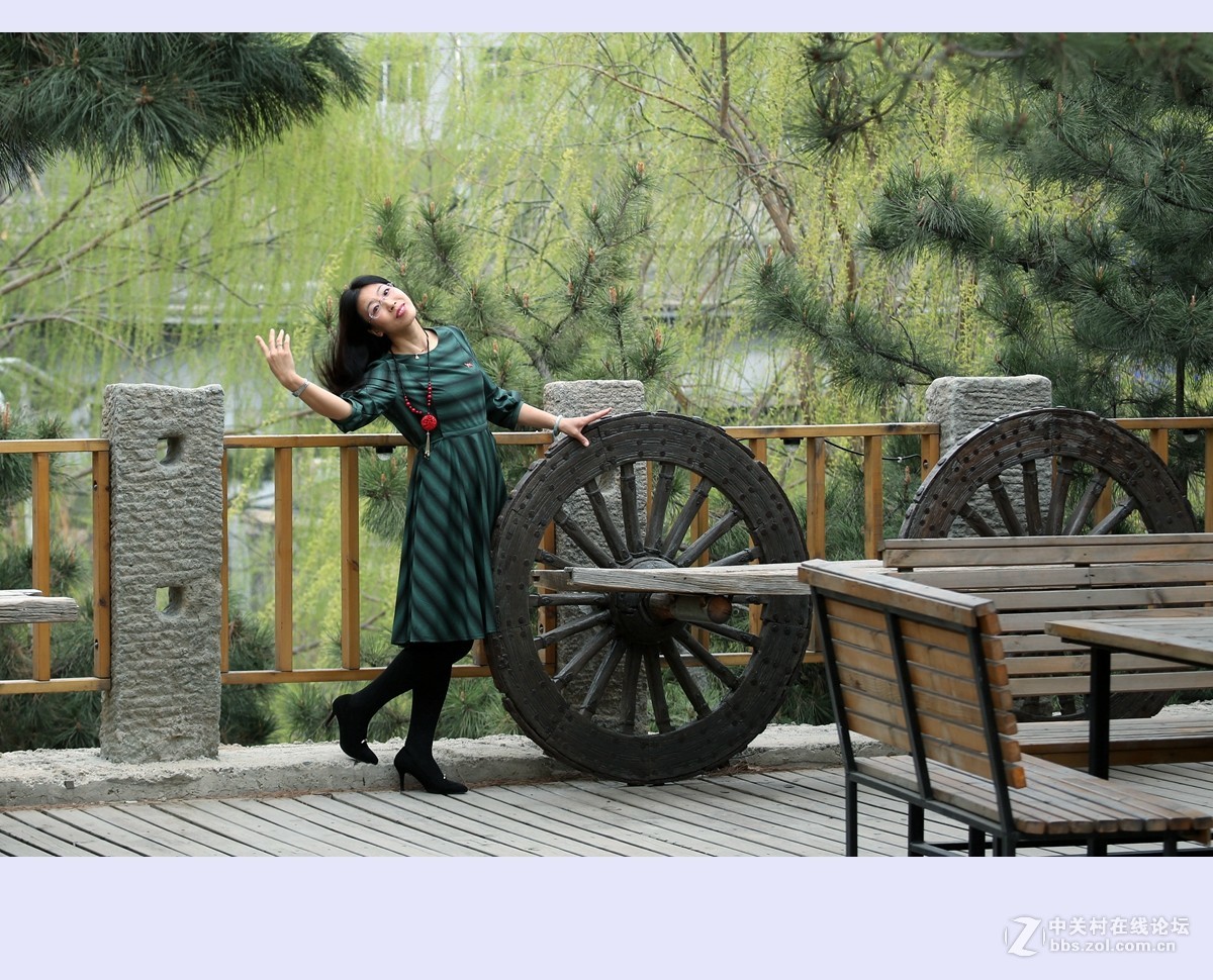 又是一年杨柳绿2