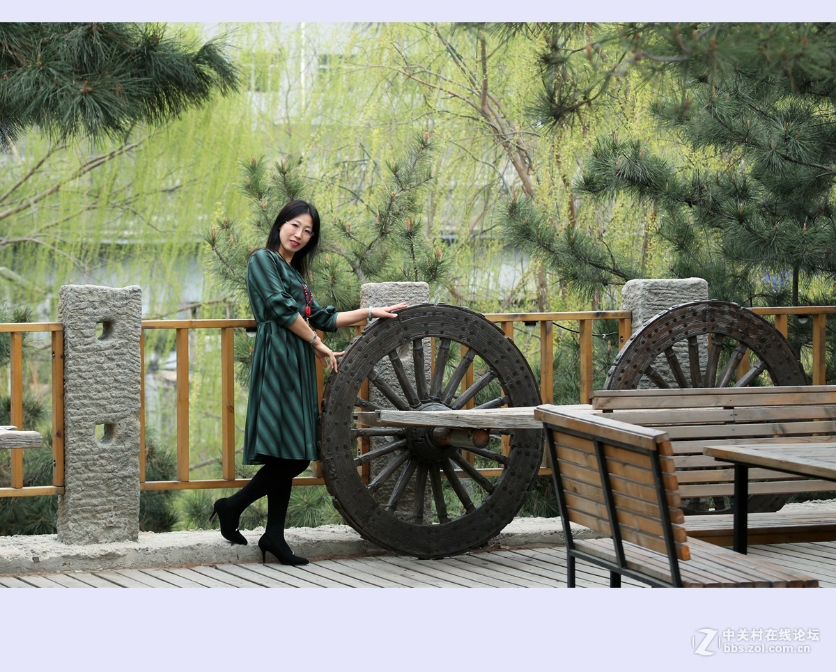 又是一年杨柳绿2