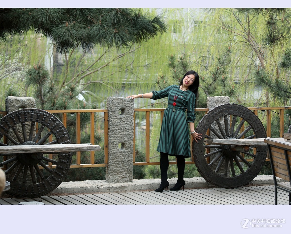 又是一年杨柳绿2