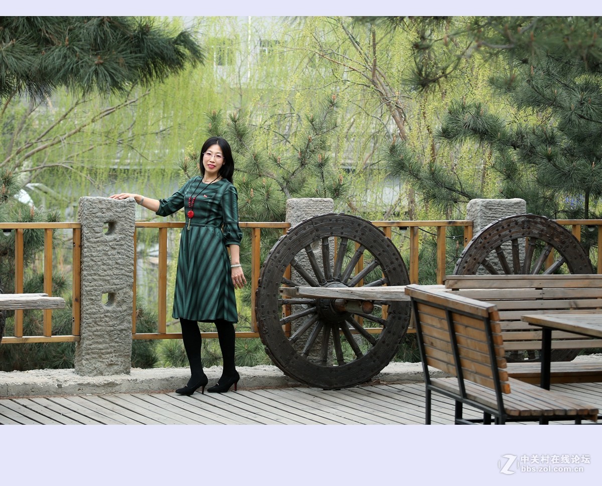 又是一年杨柳绿2