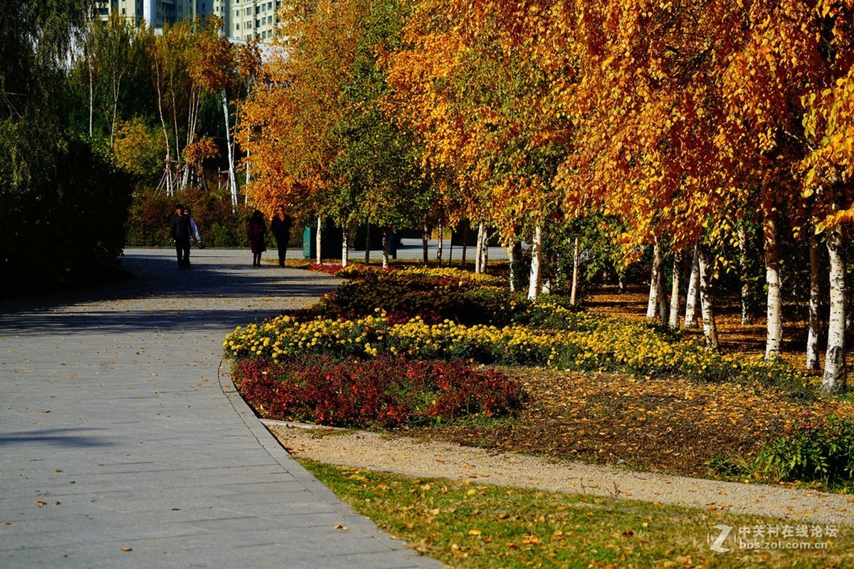 远山近水皆秋色