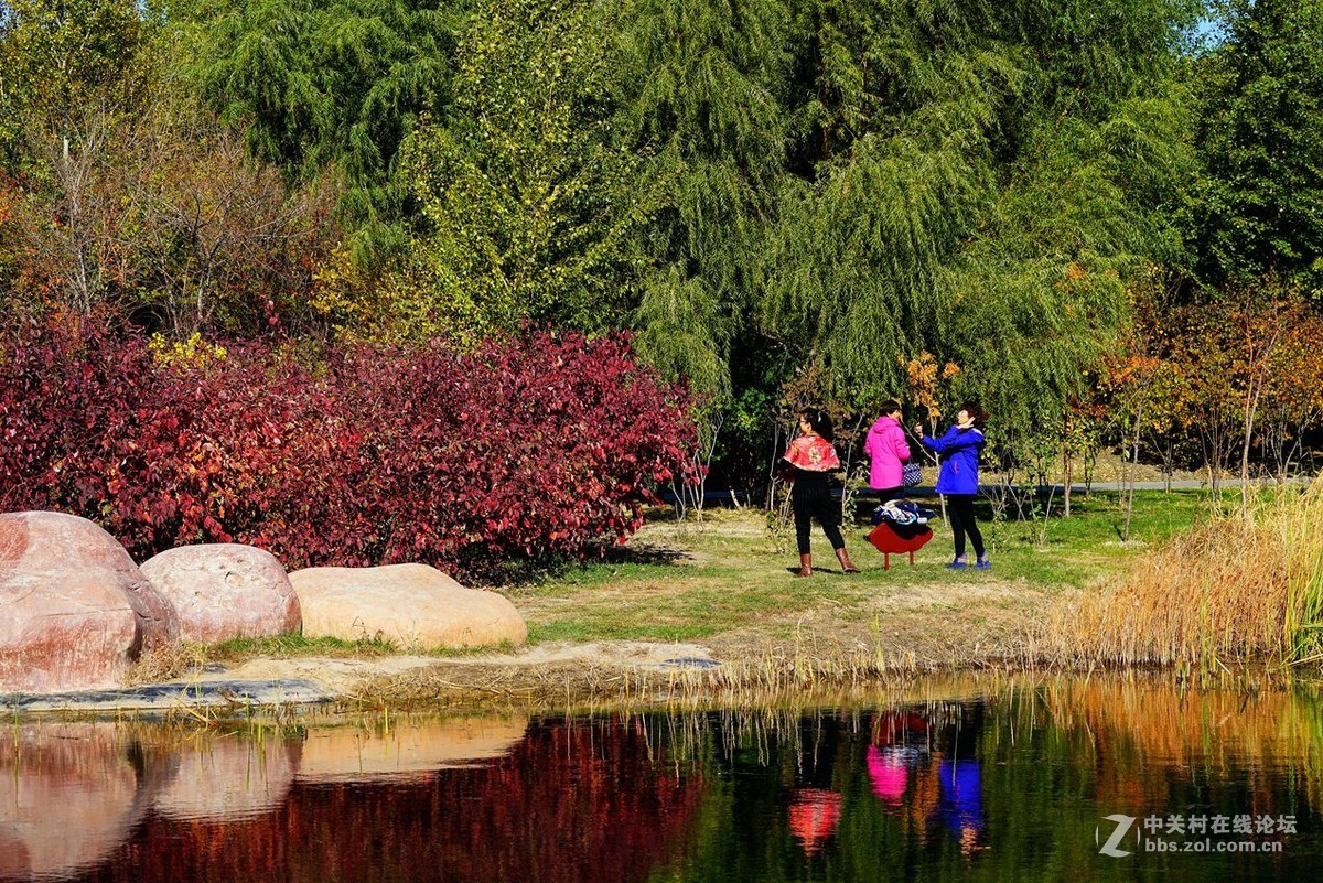 远山近水皆秋色