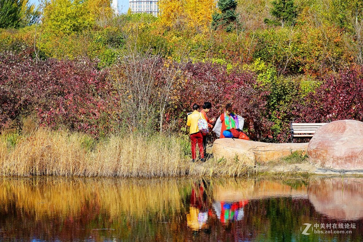 远山近水皆秋色