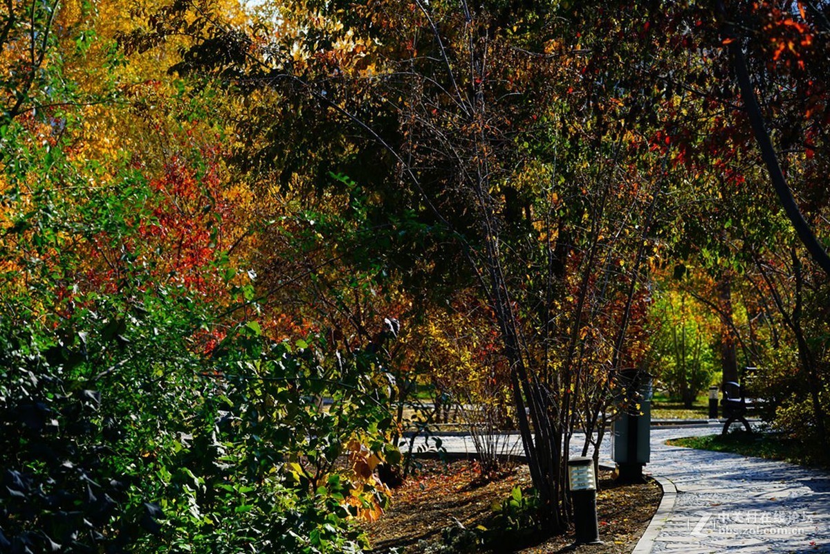 远山近水皆秋色