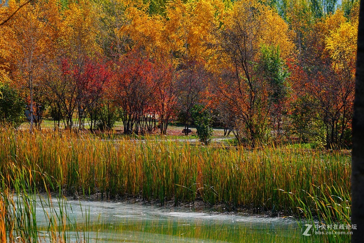 远山近水皆秋色