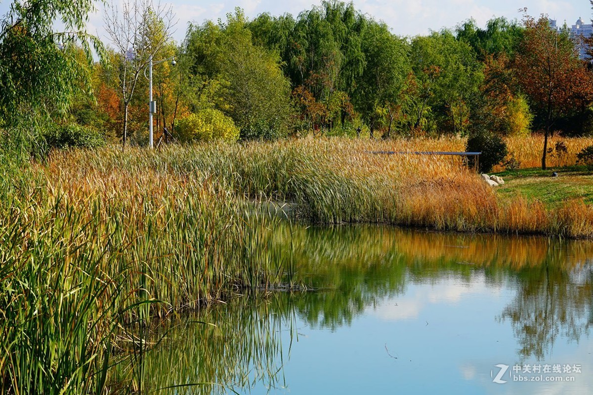 远山近水皆秋色