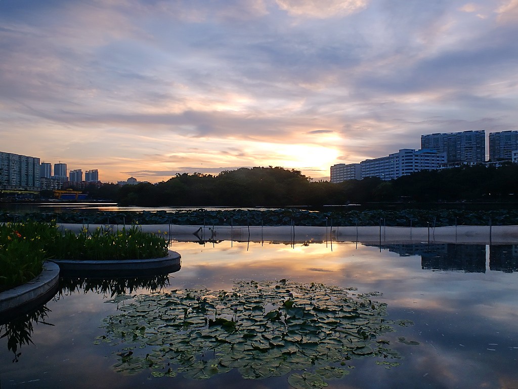 傍 晚 景 色 （十一）