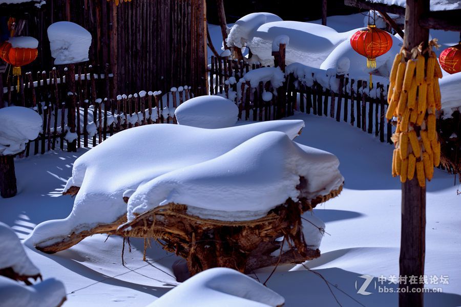 夏日里的那一抹清凉