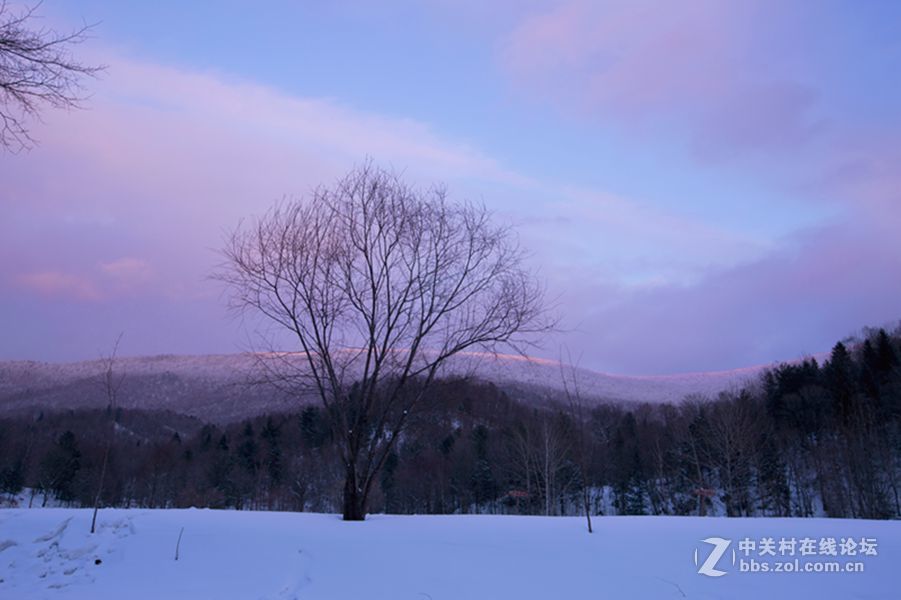 夏日里的那一抹清凉