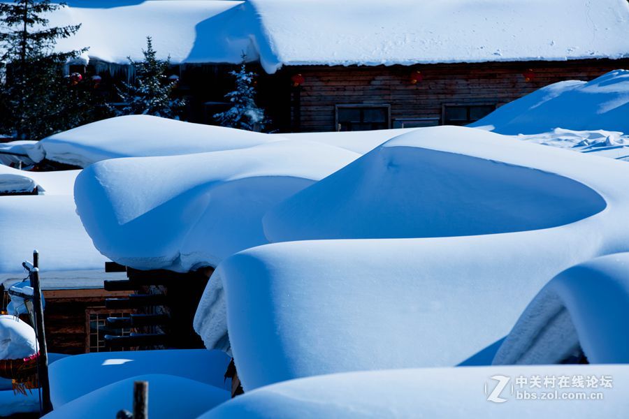 夏日里的那一抹清凉