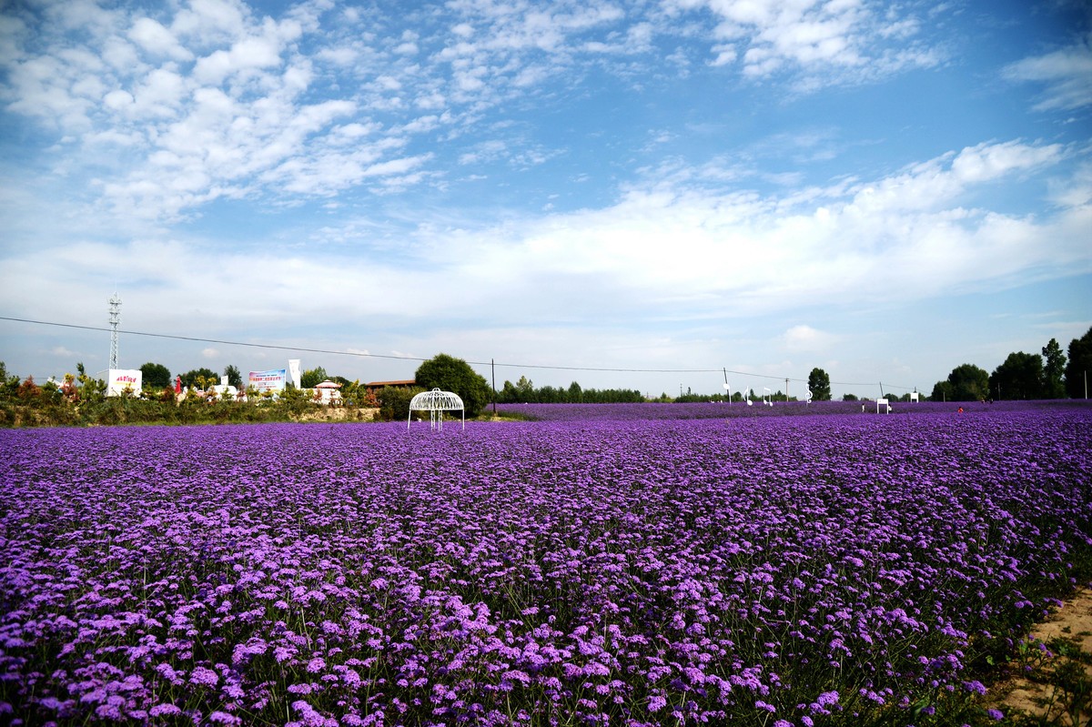 永登越国山庄游记