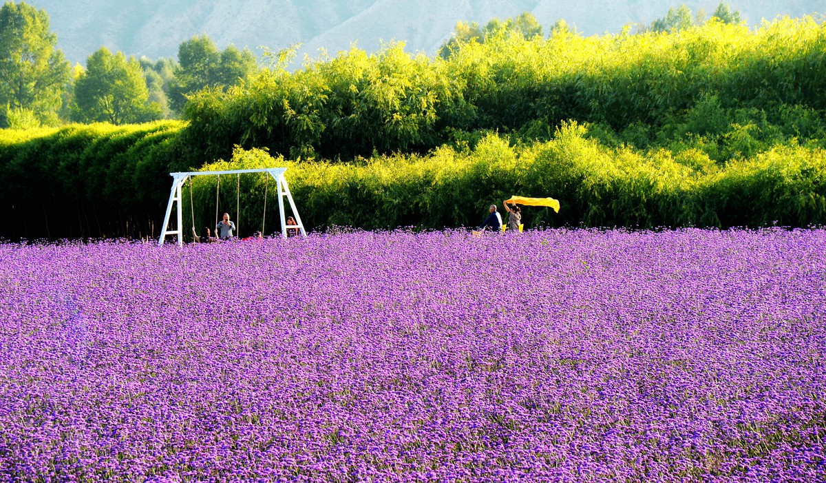 永登越国山庄游记