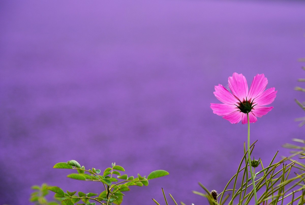 永登越国山庄游记