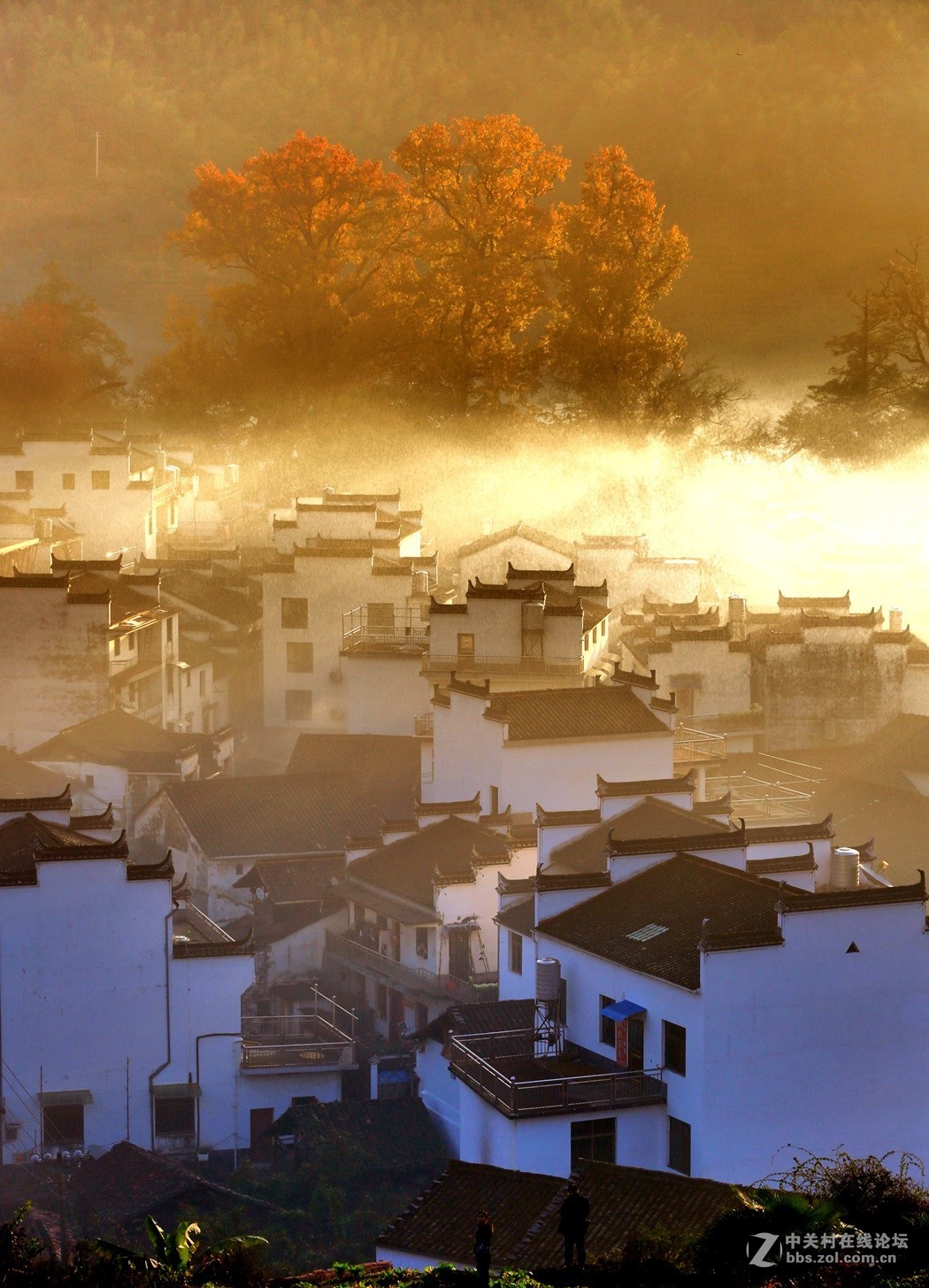 ϋԴ＾ɷһ